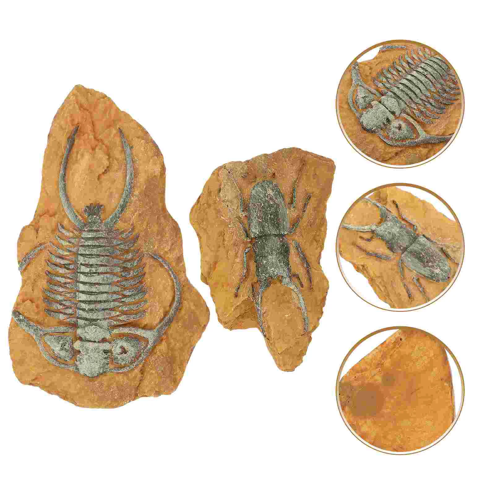 Trilobite Ornament Simulated Resin Fossil Creative Reptile Decors Gecko Tank Accessories