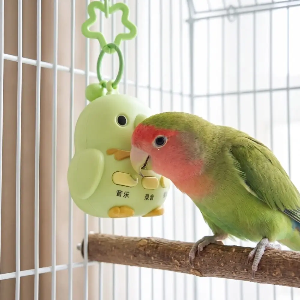 Bird Shape Bird Learning Machine Playback Recording Bird Repeater USB Charging Interactive Parrot Teach Talking
