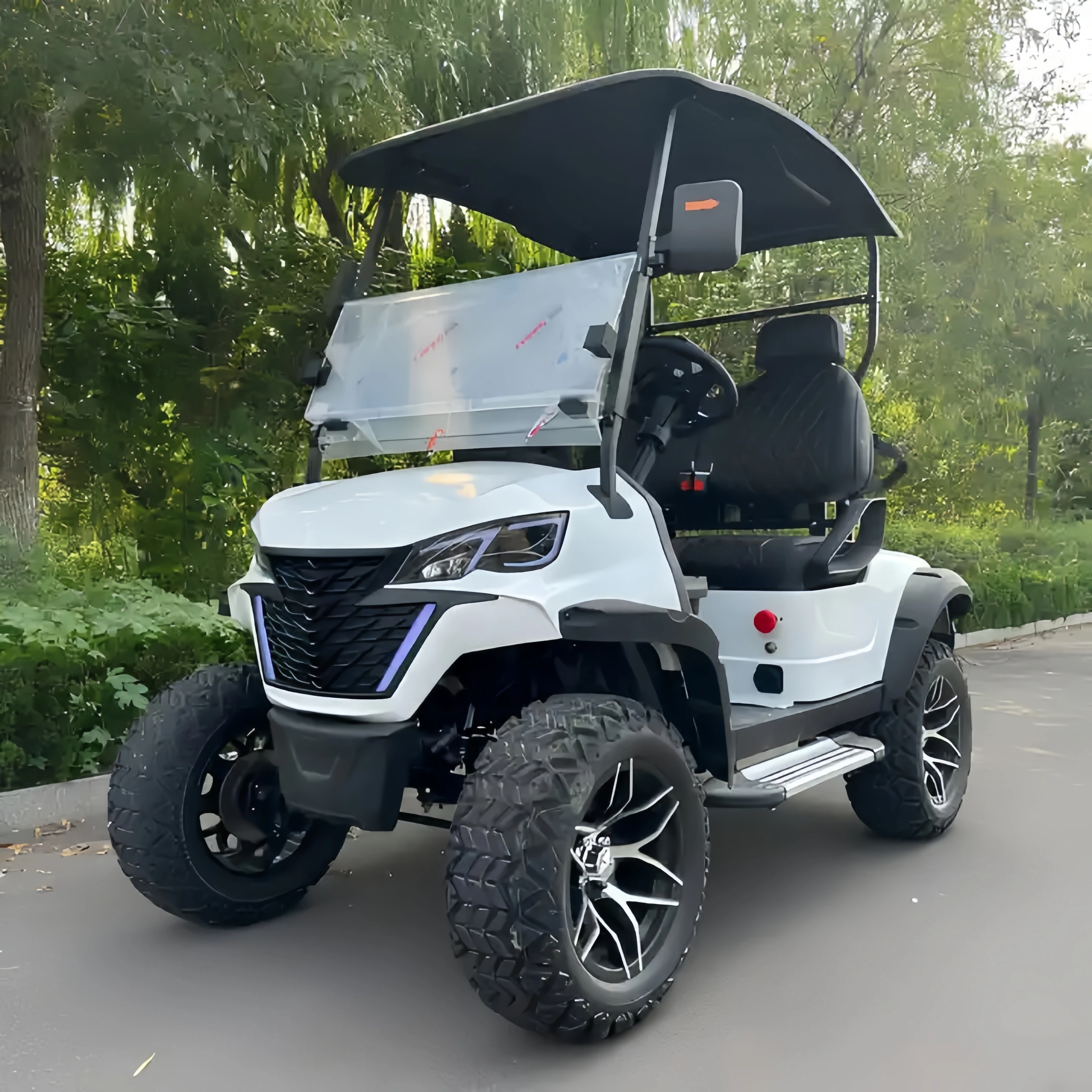 Hot Selling 48V Electric Golf Cart High Quality 2*2 Seater Steel Material Dot Certified Good Price Promotional Offer