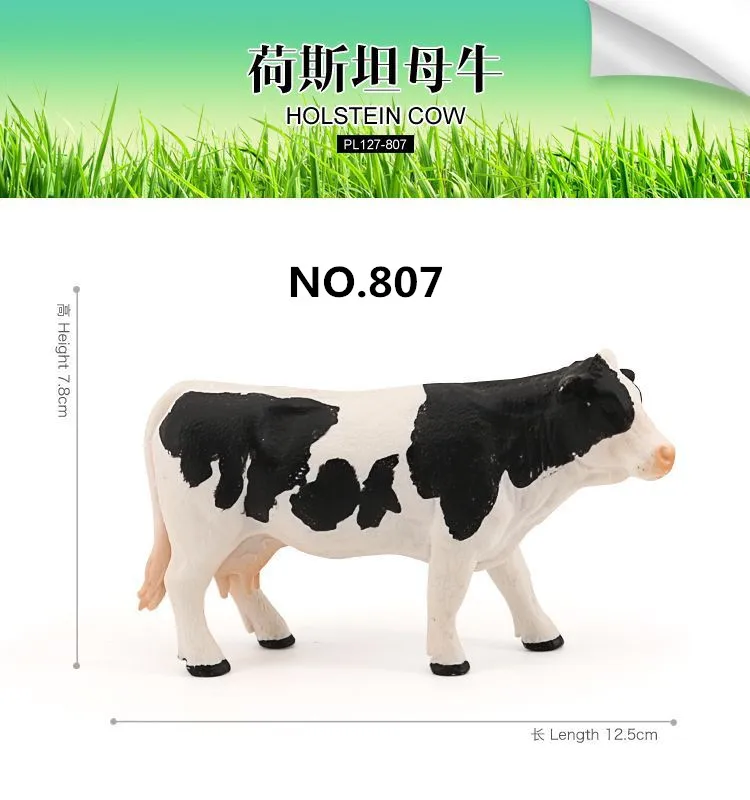 Variant: NO.807(big)