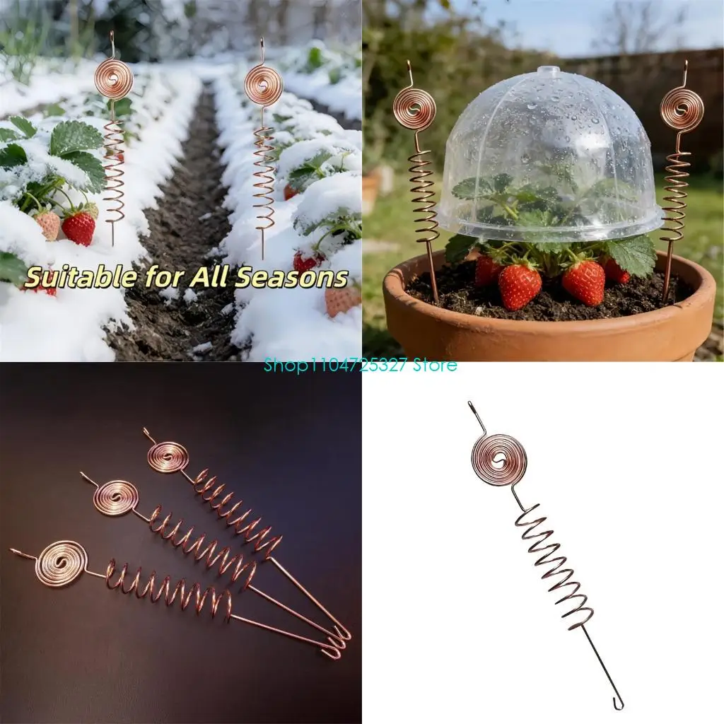 D8KF 25cm/9.84inch Metal Yard Stake With Warm Tone Coil Top for Pot Lawn Border, and Outdoor Display Use, 1 for Home Yard Uses