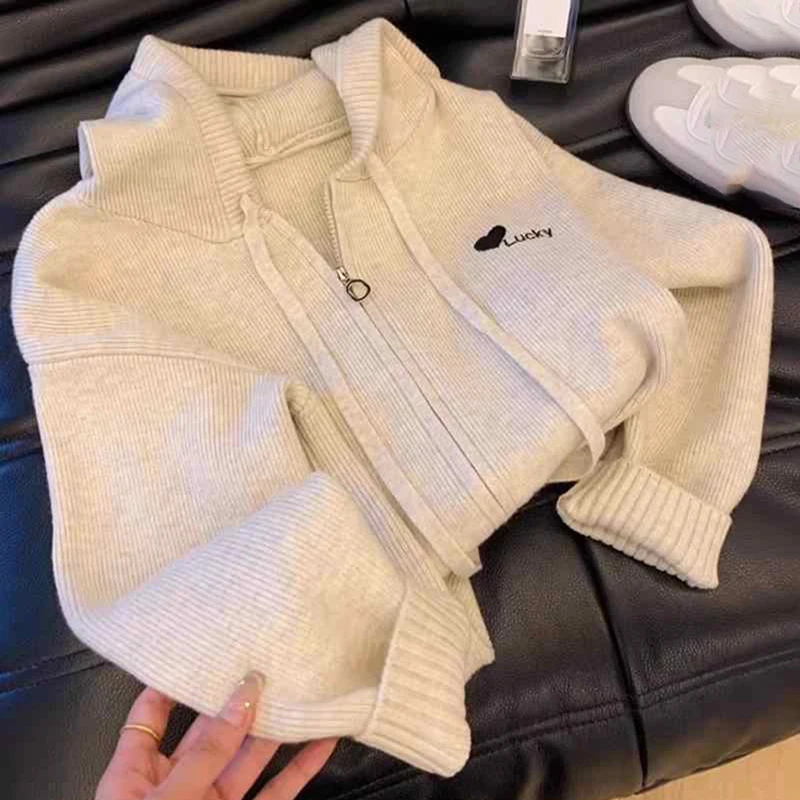 Hooded Sweater Women Autumn Winter Embroidered Zipper Cardigan Knitwear 2024 New Korean Lazy Style Simple Ladies Knitted Tops