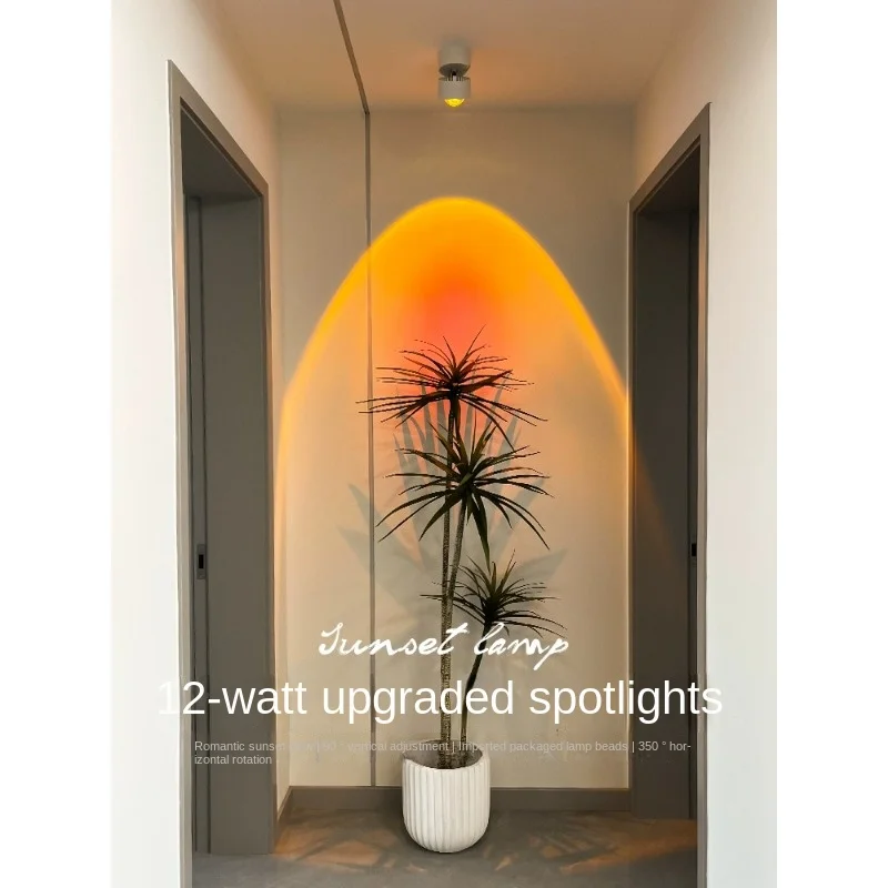 

Sunset and adjustable angle spotlights, household wall painting atmosphere lights, commercial hill wall washing lights