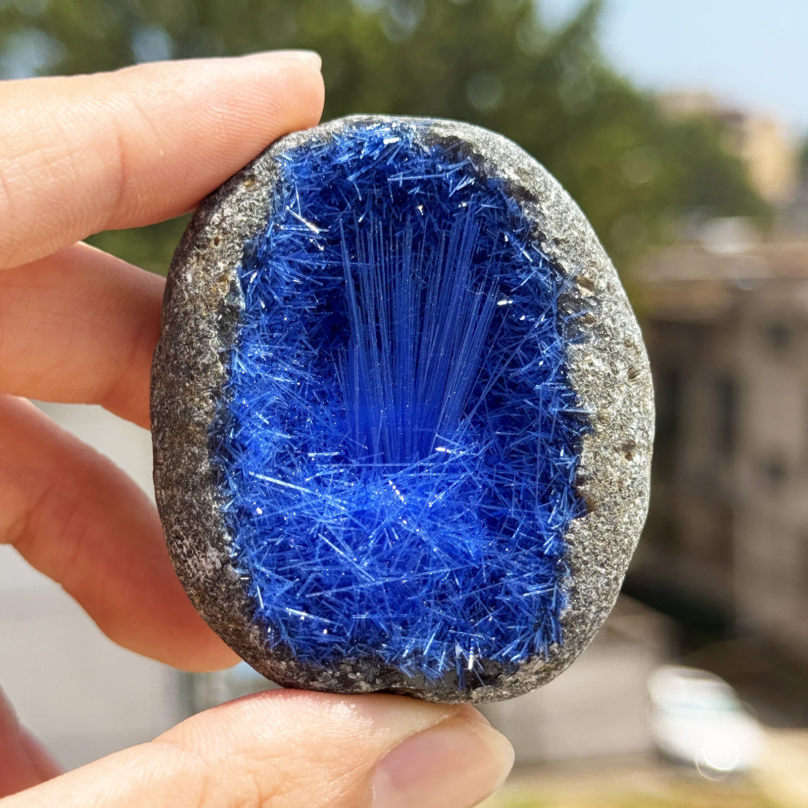 1 قطعة عينة الكهف المعدنية، كريستال على شكل إبرة زرقاء - عمل فني جمالي طبيعي أنيق، هيكل عالي الجودة،