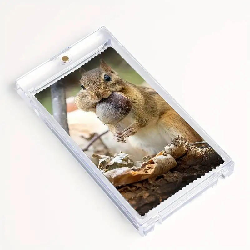 Thumbnail 4 - #8 Compare Collectible Trading Cards Before You Buy