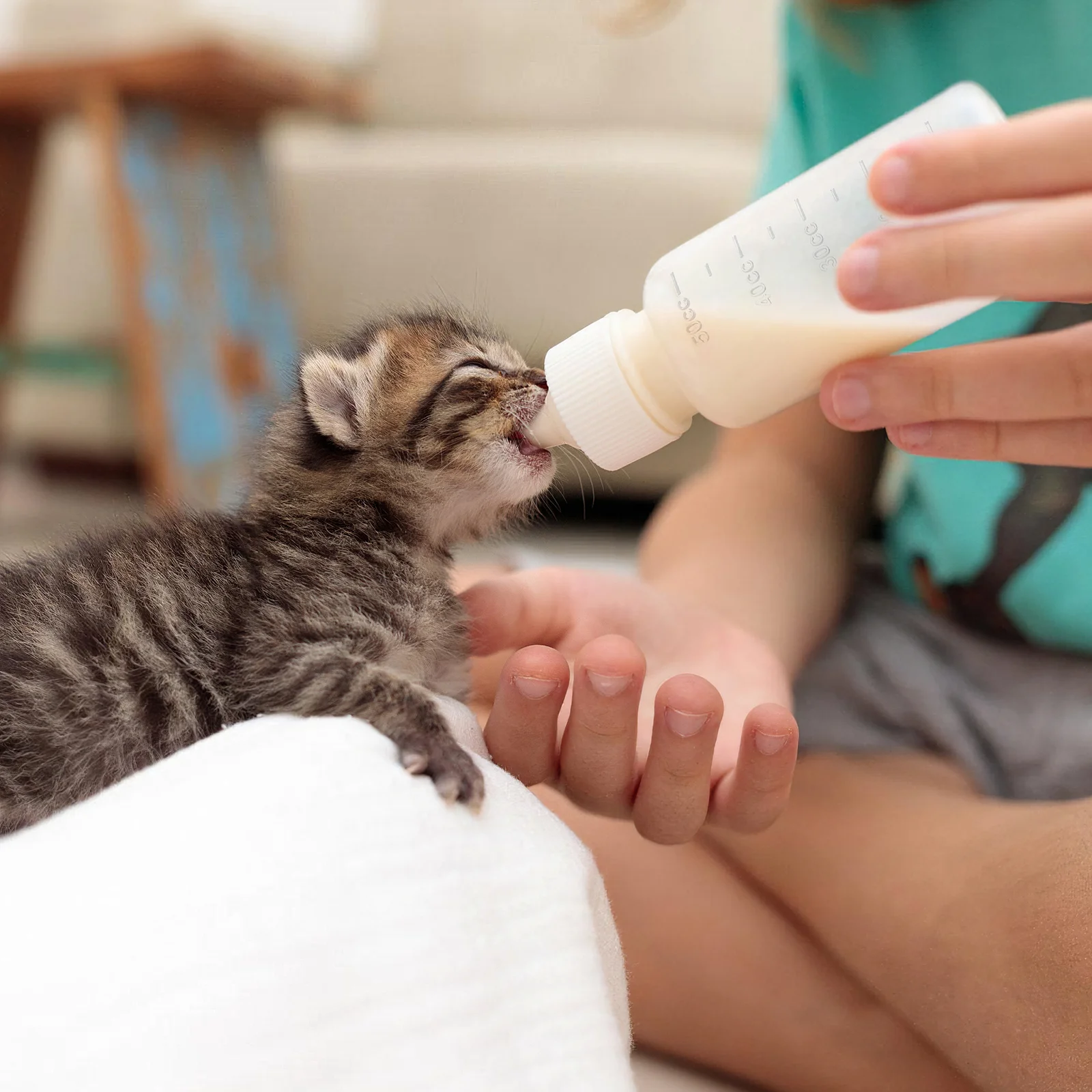 

1 set 1 Set Pet Nursing Kit 2 Bottles 1 Brush For Newborn Puppy Kitten Feeding Milk Bottle Small Animal Nursing Supplies