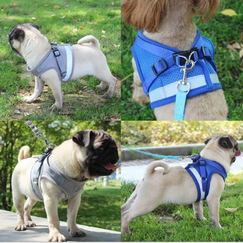 XS/S/M/L/XL Pet Adjustable Vest Harness Mesh Collar Chest Strap Leash with Traction Rope Pet Supplies