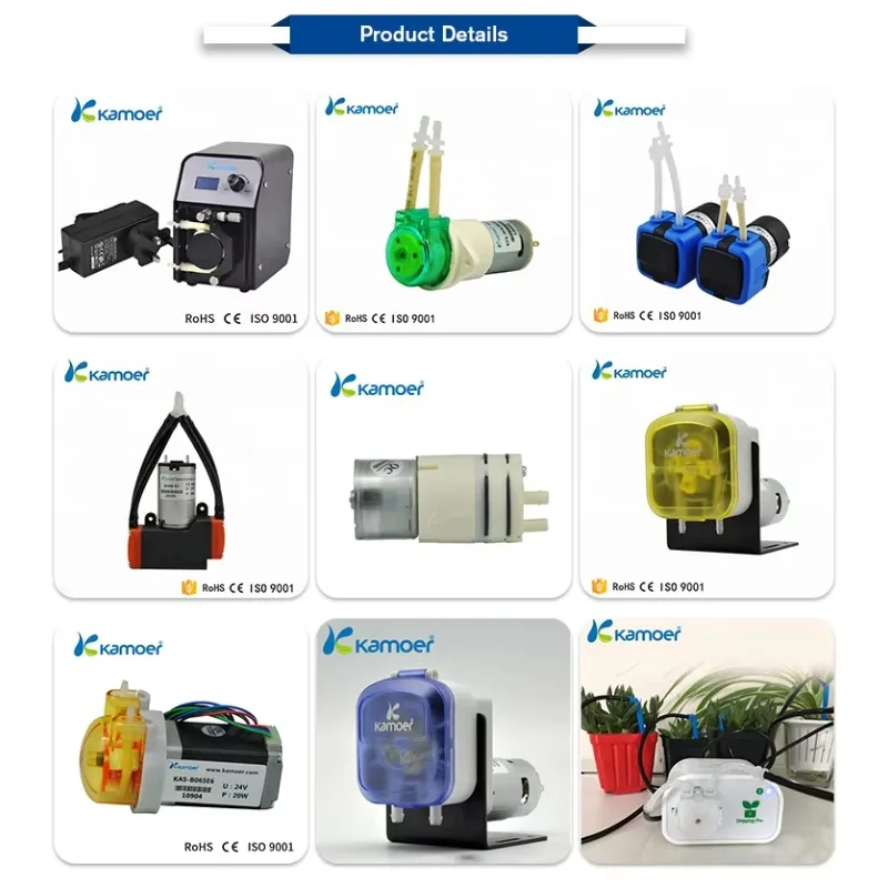 KVP8 12V/24V Dc Brushless Motor Micro Negative Pressure Suction Pump Mini Air Filter Vacuum Pump