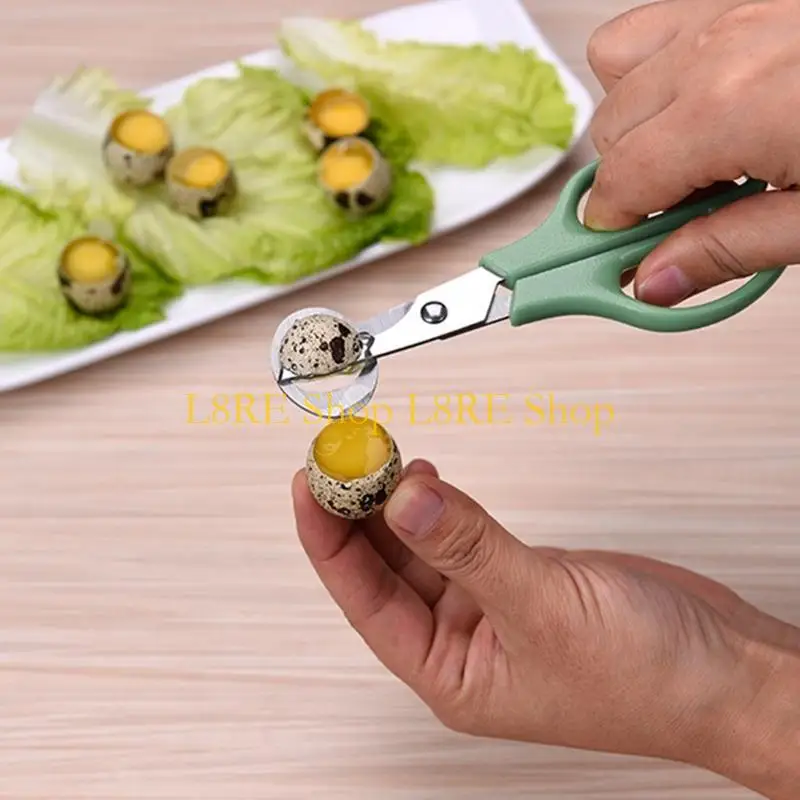 L8RE 10 Pieces Stainless Steel for Pigeon Bird Quail Cutter Opener Quail Cutter Scissors Kitchen Clipper Tool Easy to