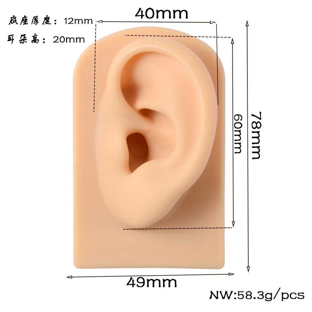 Kit de support en silicone souple pour prothèse auditive, modèle d'oreille, pratique du piercing, simulation de bijoux, affichage acrylique, fuchsia, 1:1, 1 pièce