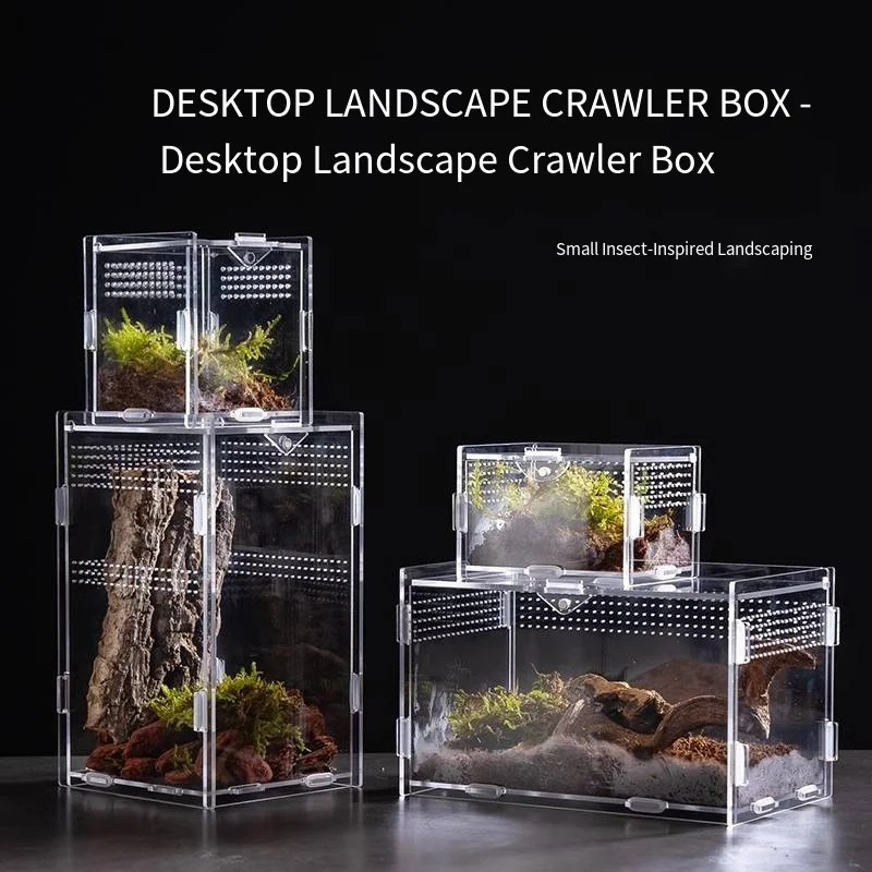 Acrylic pet climbing Small breeding box Spider lizard scorpion beetle habitat display High-transparency view box Reptile shelter