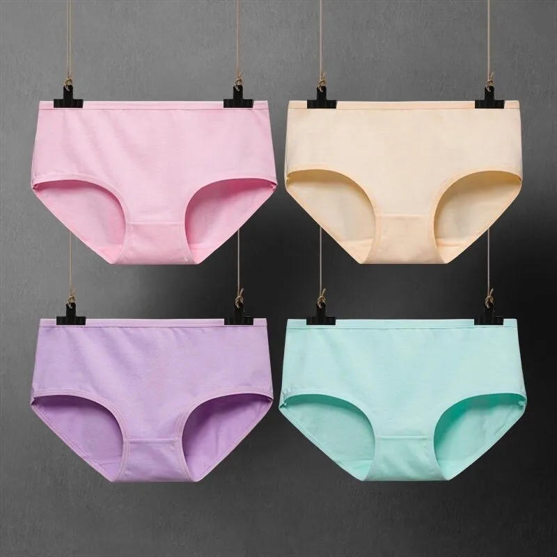 4 Pcs/pack Cotton Briefs Panties Plus Size Underwear Women Intimates Mid-Rise L XL XXL White Pink Grey Purple Blue Black Sale