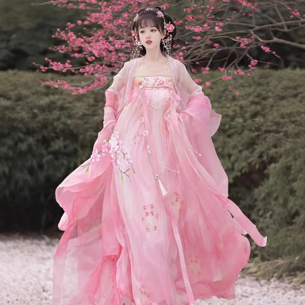 Spring Summer Women's Tang Dynasty Hanfu Dress Ancient Traditional Chinese Cosplay Costume