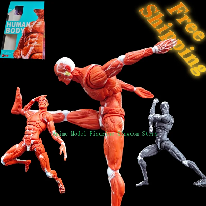 

В наличии: Коллекционная суперподвижная фигурка скульптора-моделистов 1/12, 6 дюймов, с рисованными мускулами, модель солдата-скелета, подарки, игрушки