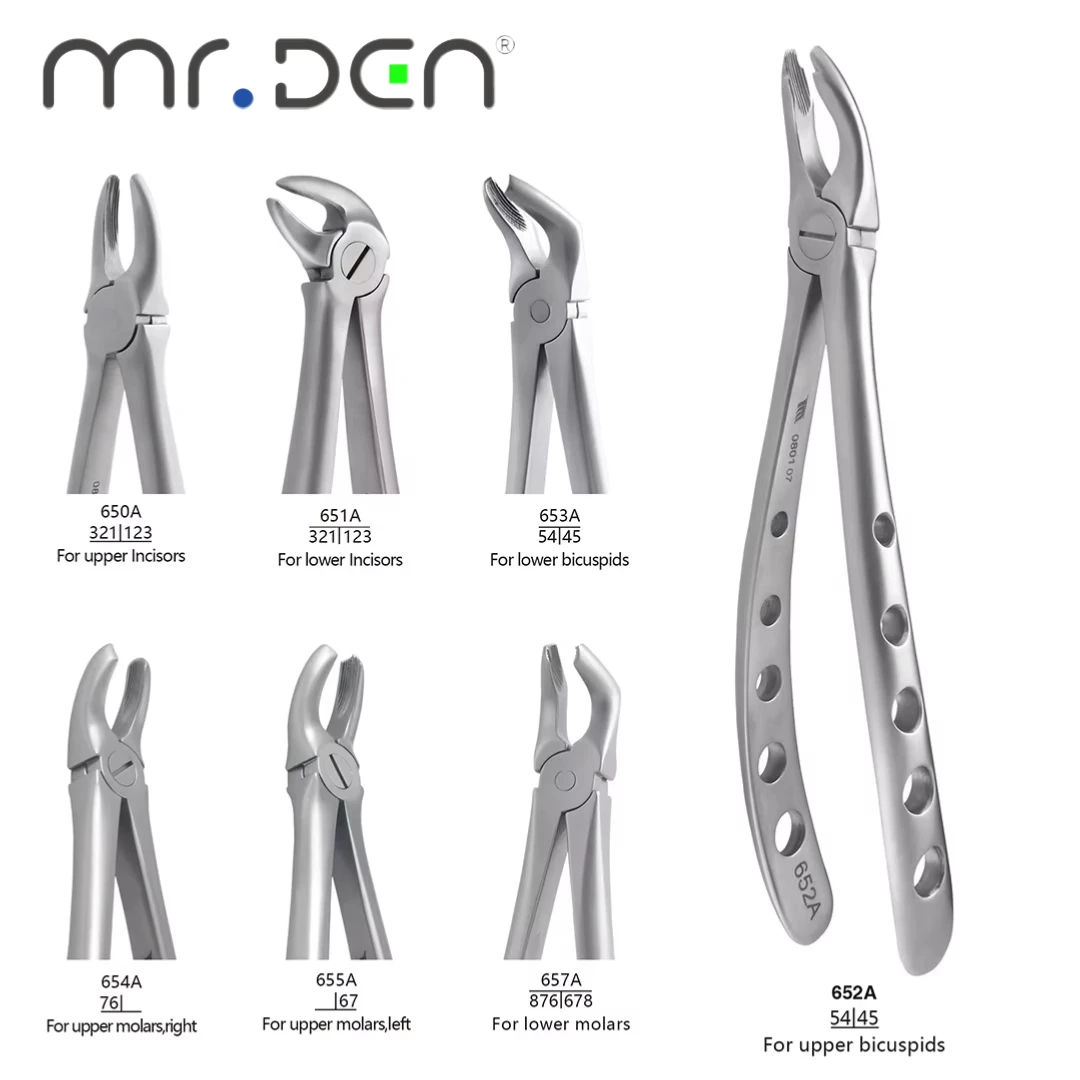MR DEN ملقط استخلاص الأسنان عالي الجودة للبالغين كماشة أسنان بمقبض متعدد الفتحات لقواطع علوية وسفلية أضراس Bicuspids