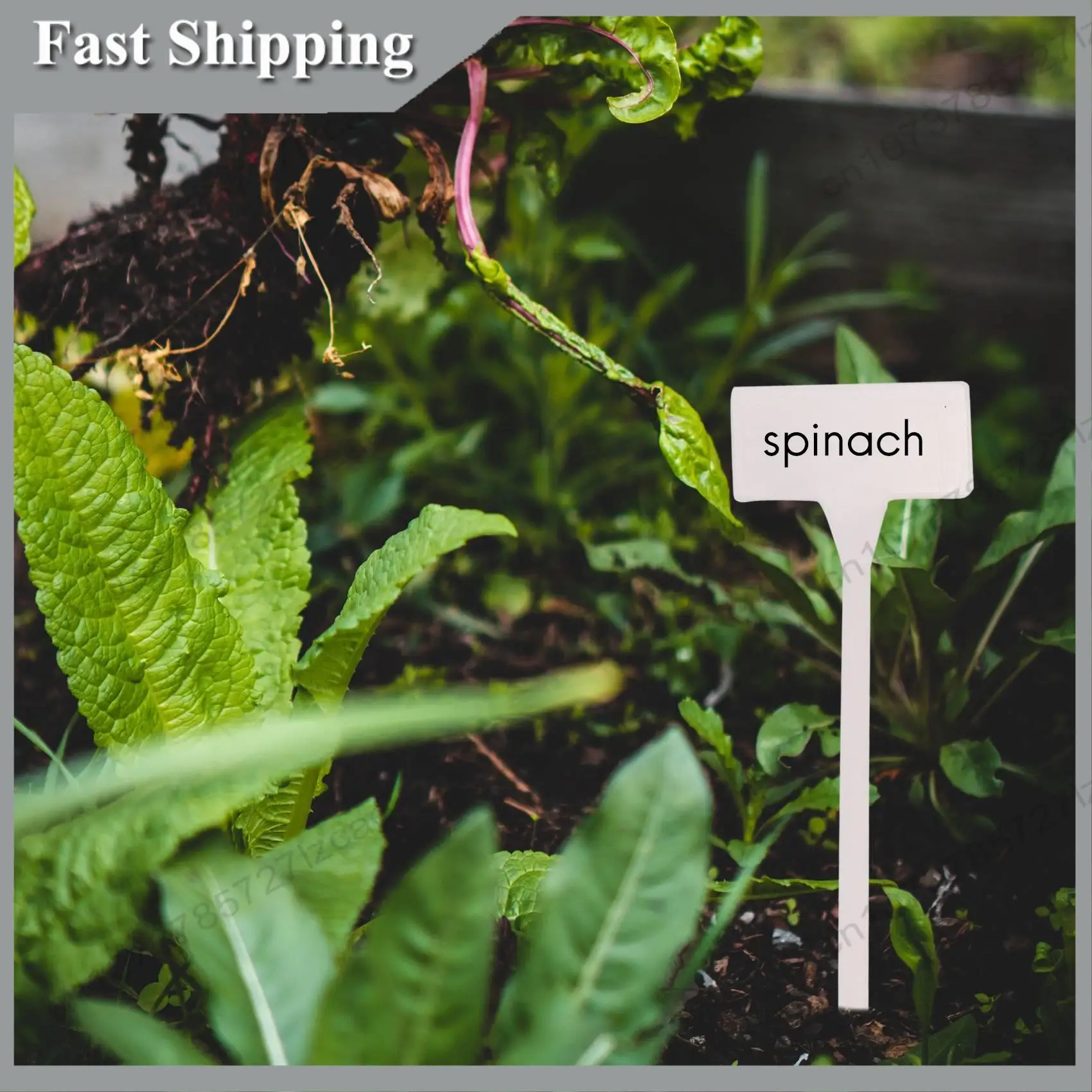 

-A99Z 40Pcs Outdoor Plant Label,Waterproof Plastic Plant T-Type Tags, Durable Nursery Garden Markers,Perfect For Herbs,Flowers