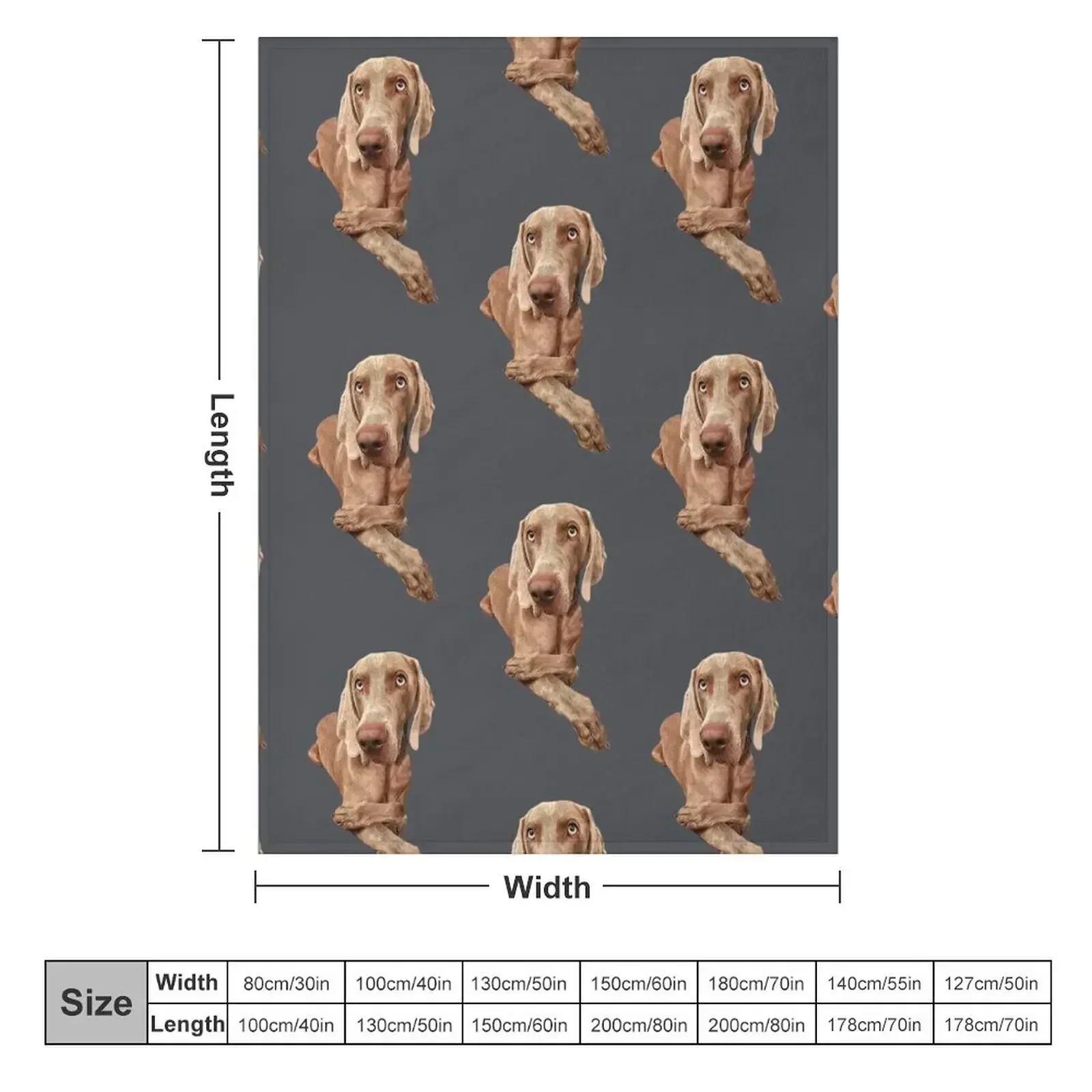 Weimaraner Throw Blanket couch cozy soft plush fuzzy picnic outdoor blanket