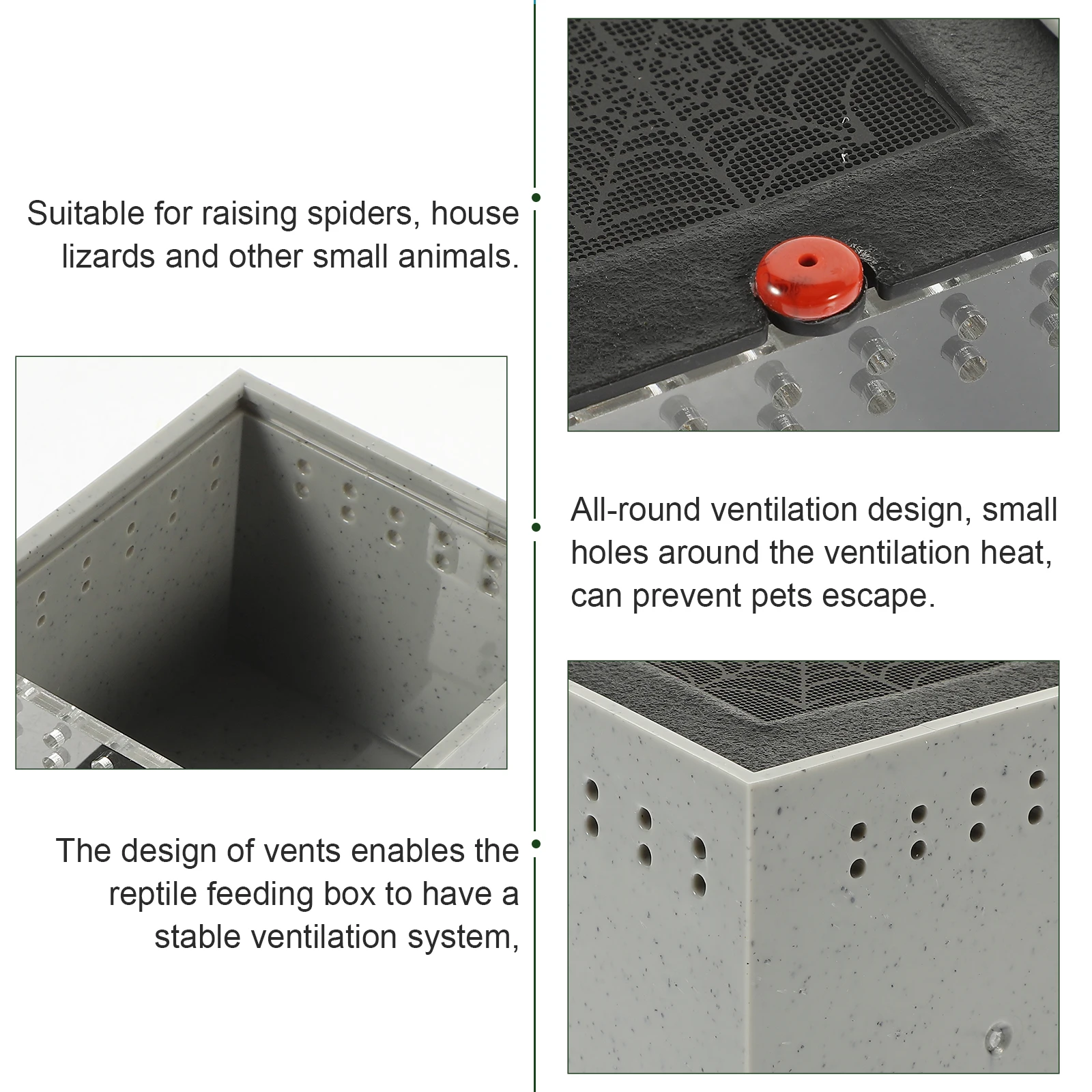 

Clear Spider Terrarium Box With Ventilation Holes For Reptile Insect Pet Keeping Transparent Acrylic Enclosure Small Breeding