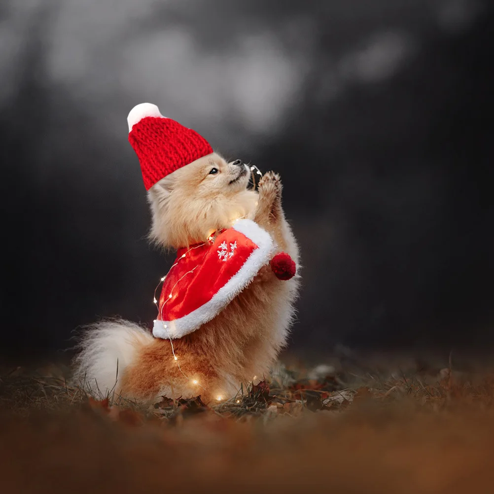 

5Pcs Mini Christmas Headgear for Pets Cute Decorative Hat Ornament for Mice Turtles Dog Cat Cosplay Party Holiday Event Pet