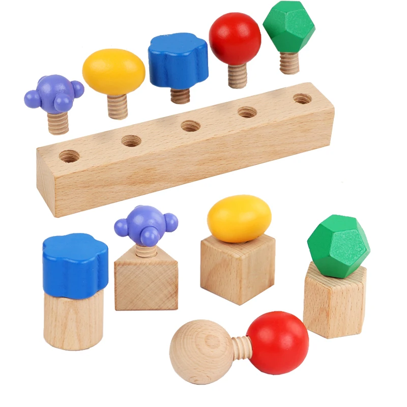 Jeu de correspondance de vis en bois pour enfants, jouet Parish Montessori, boulon d'écrou, démontage de la motricité Fine, jouet éducatif sensoriel de couleur