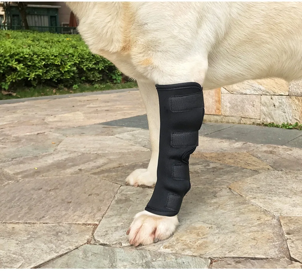 Dog leg fracture fixation brace Pet front and rear leg braces Auxiliary strap Dog knee brace Injury protective cover