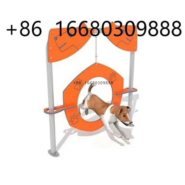 Pet agility training set PE board material Dog jumping obstacle training Jumping circle around the pole Dog trainer pet supplies