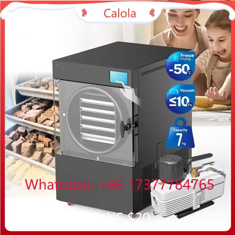 Mini Lyophilizer Small Dryer, Commercial Industrial Vacuum Pump Type Food  Drying Equipment
