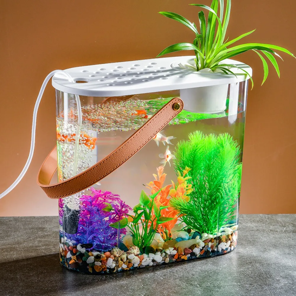 Plastic Transparent Belt Cover Oval Soil and Water Culture Fish Tank Living Room Office Desktop Small Decoration Goldfish Tank