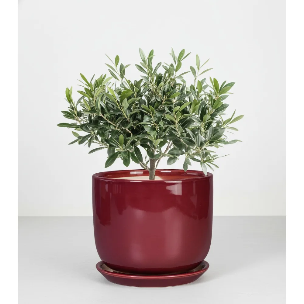 

Современный керамический цветочный горшок 8-дюймовый комнатный горшок для растений с дренажным отверстием, блюдце, декор для домашнего офиса, красный