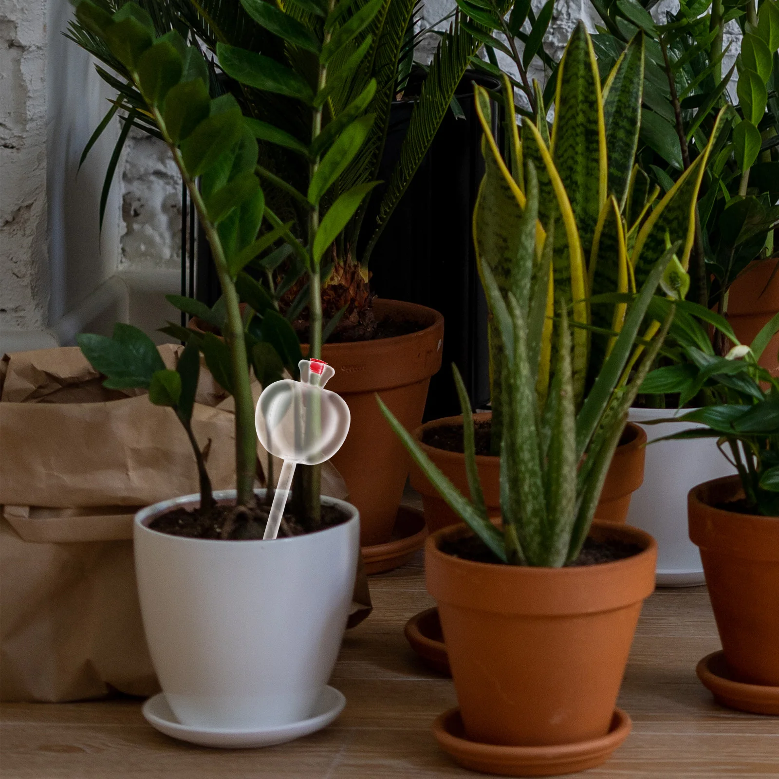 

5Pcs Automatic Spikes Self System Plant Irrigation Tool Indoor Outdoor Garden Plant Waterer