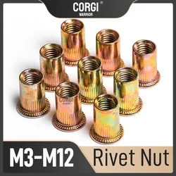 Fino a 20 dado Rivnut a testa piatta metrica Rivnut M3 M4 M5 M6 M8 M10 M12 UNC inserto filettato dado zigrinato acciaio al carbonio zincato 7 dimensioni