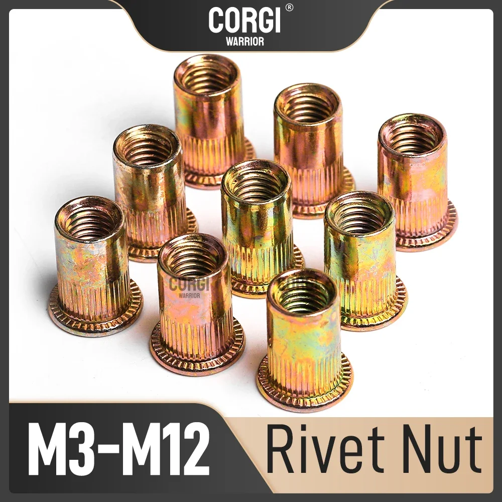 Up to 20 Metric Flat Head Rivnut Rivet Nut M3 M4 M5 M6 M8 M10 M12 UNC Threaded Insert Knurled Nut Galvanized Carbon Steel 7 Size