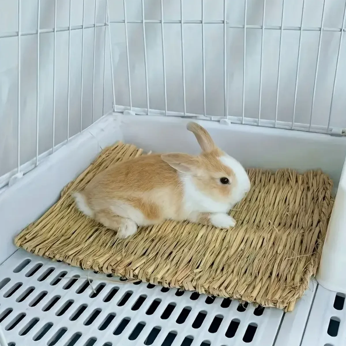 Thumbnail 2 - #1 Latest Small Animal Bedding Offers