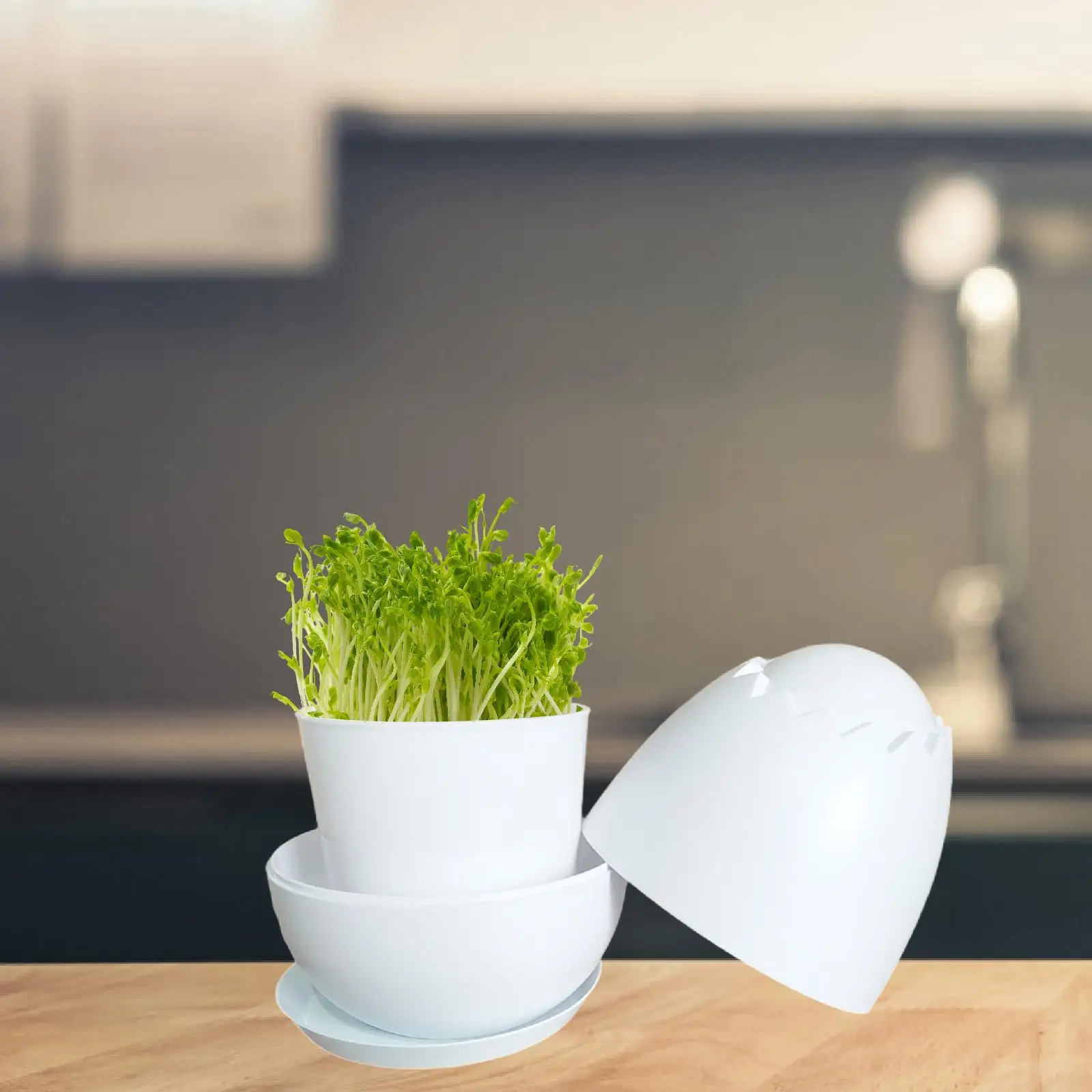 Tohum filizlenme konteyner fasulye filizi yetiştirici kedi çim büyümek kutu bezelye ev dikim bahçe kapalı için fasulye filizi er çimlenme Pot