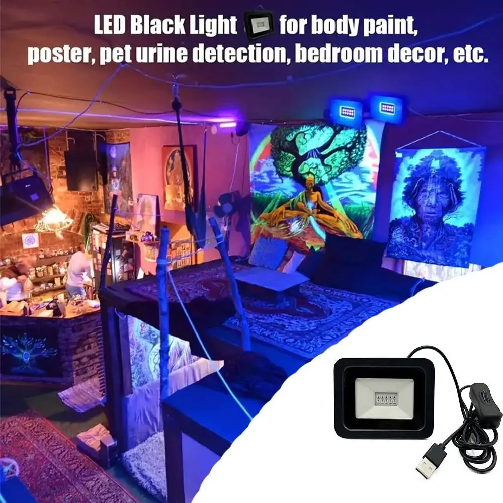 Portable 5V USB UV LED Floodlight 10W 395nm UVA Floodlight Handheld Waterproof UV Fluorescent Light Atmosphere
