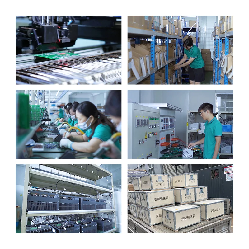 VFD Inverter Factory Direct Customized 0.75KW Single Phase 220V Water Pump AC Drive Frequency Converter with Vector Control