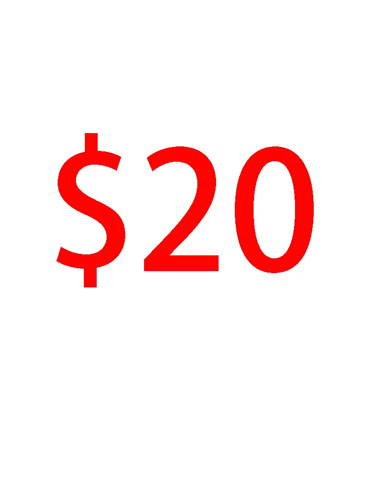 20$ custom customization extra fee PU Leather clothing customize size 10 days to prepare it don't accept any exchange or refund