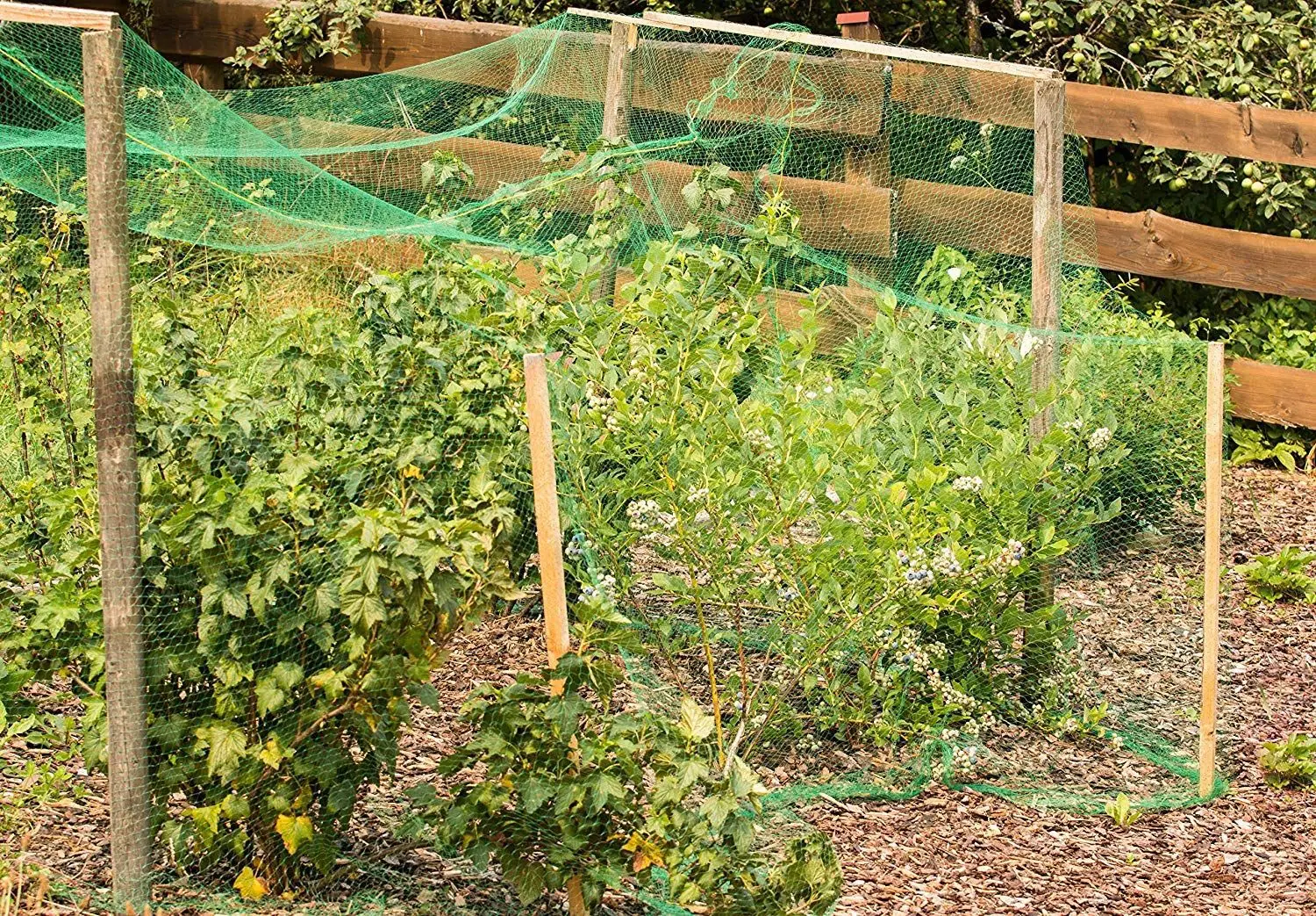 Anti Bird Netting Garden Orchard Fruits Crop Vegetable Flower Protection Mesh Net Nylon Stretch Fencing Pond Pool Protection Net - Image 5