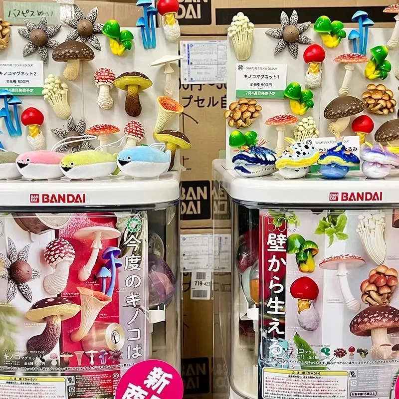 

Original Kitan IKIMON Capsule Toys Gashapon Magnet Mushroom Fridge Magnet Wild Mushroom Model Gift