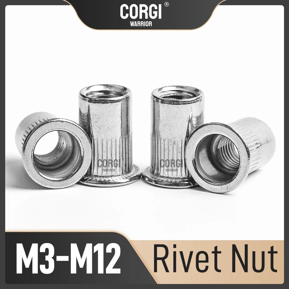 Метрическая заклепочная гайка M3 M4 M5 M6 M8 M10 M12 UNC, плоская головка Rivnut, Резьбовая вставка, желтая оцинкованная углеродистая сталь, нержавеющая сталь 304