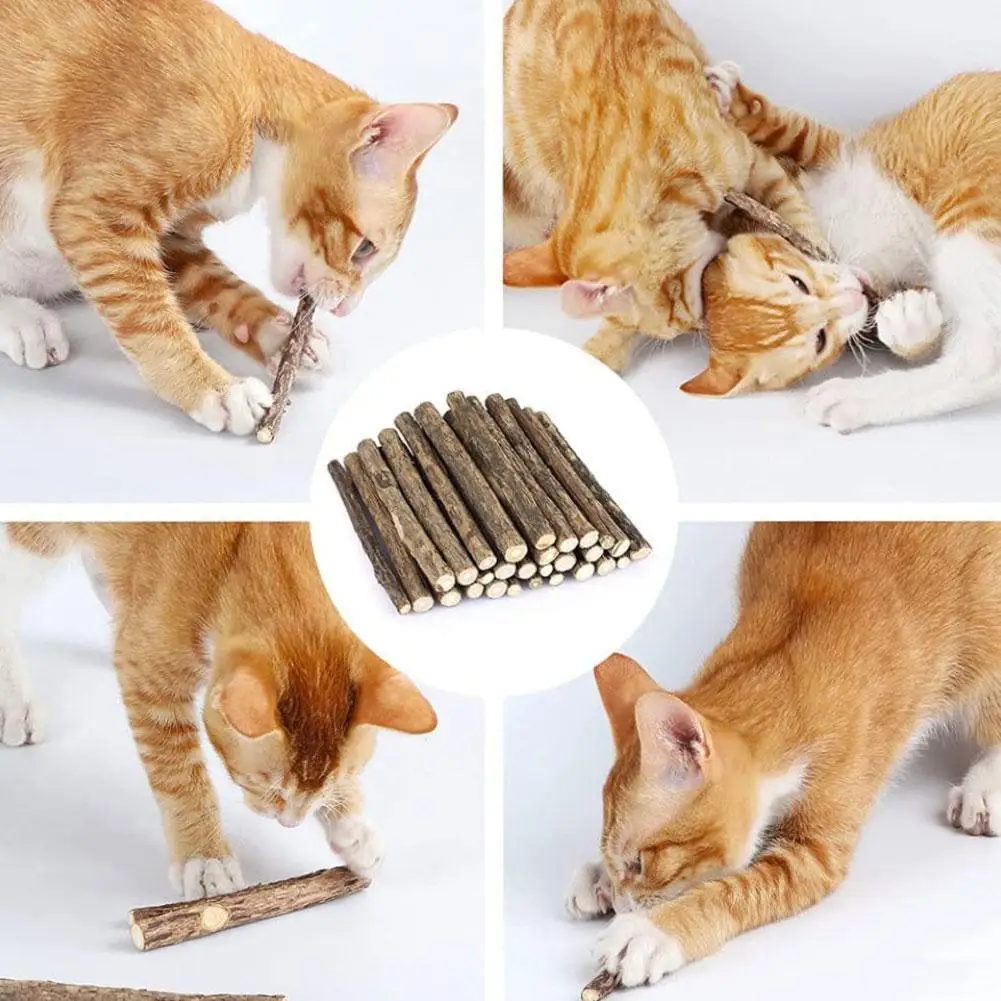 Cat Catnip Sticks Natural Matatabi Silvervine Sticks per la pulizia dei denti Self Healing Cat Snack Stick Kitten Chew Toys