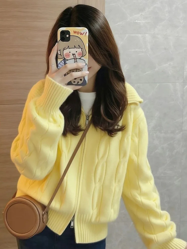 Sweet Yellow Cardigan Women Loose Preppy Style Sweet Knitted Sweaters Fall Winter Fashion Zipper Lazy Wind Long Sleeve Cute Coat