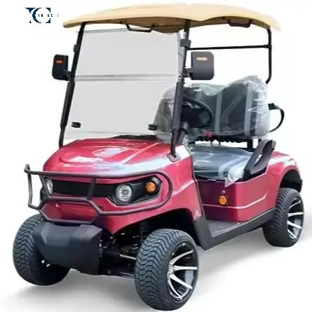 Tong Cai Customization China Factory Direct 2 Seats Golf Buggy Lifted Electric Golf Cart