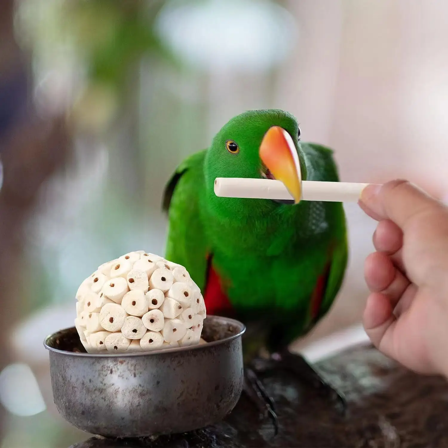 Natural Grass Ball Bird Chew Toy, Parrot Foraging Gnaw Toy to Relieve Boredom & Stress, Stimulate Mental Intelligence view 5