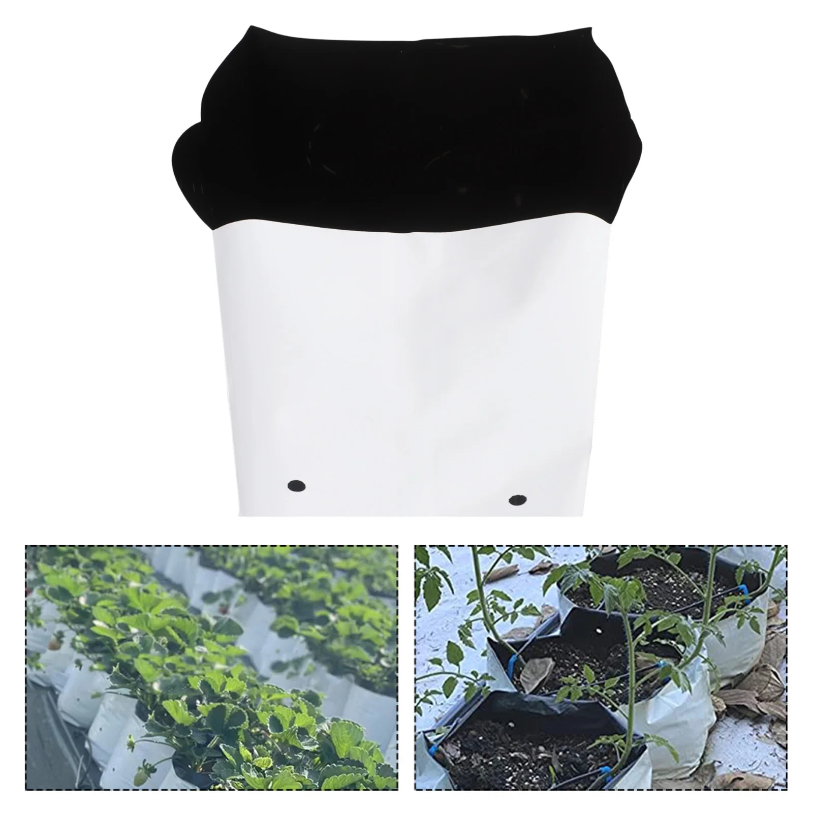 Grow Pots Soilless Cultivation Indoor And Outdoor Use Light-Reflective Design Thick PE Material 50 Pieces For Plants