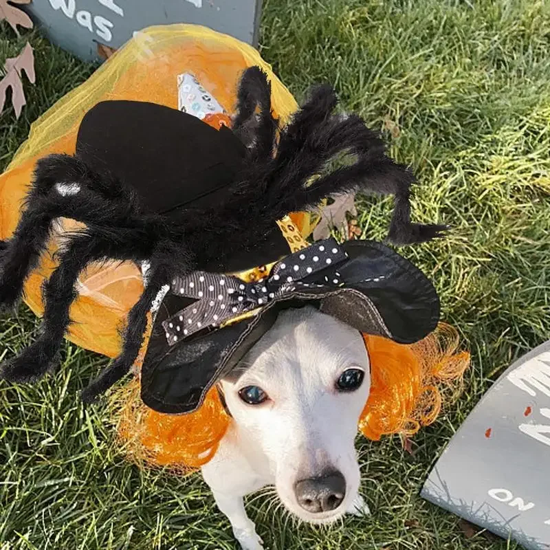 Halloween Pet Spider Costume simulazione Black Spooky Spider Clothes Dressing For Dogs Cats Party Cosplay puntelli Funny Outfit