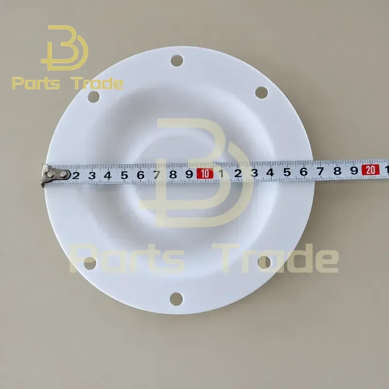 for Coating Ink Paint Pump Repair Kit Replacement Parts Accessories Spare Part PTFE Membrane Diaphragm A20 142mm 168mm