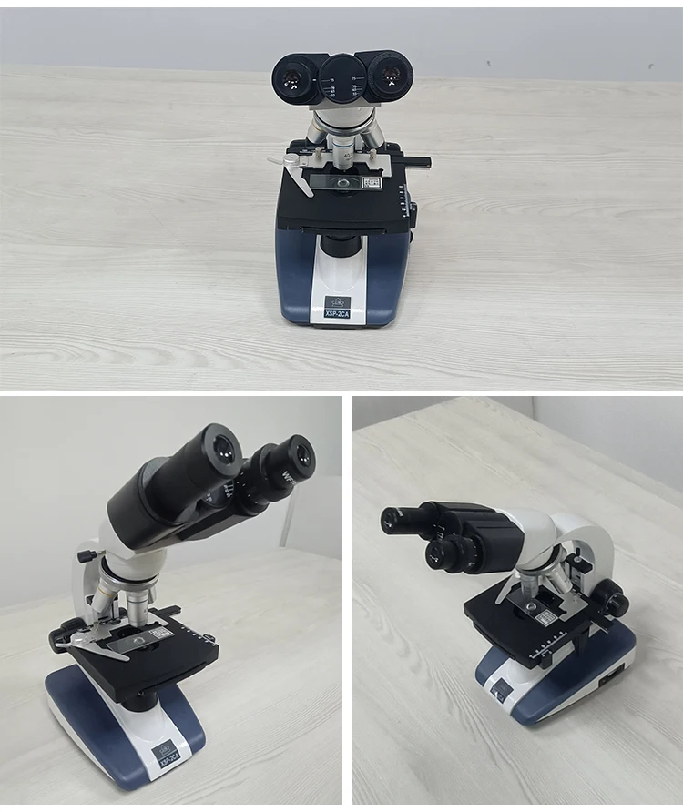 Microscope binoculaire numérique Seattle avec lumière LED, binoculaire, laboratoire et école