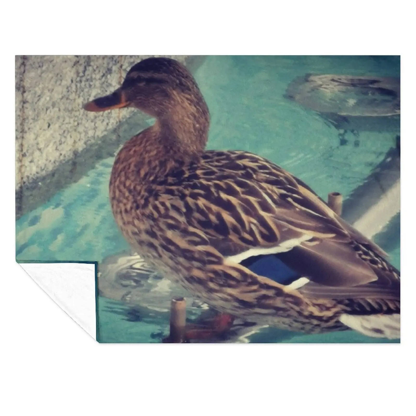 

wild duck Throw Blanket Weighted Blankets For Baby Flannel Multi-Purpose Blankets