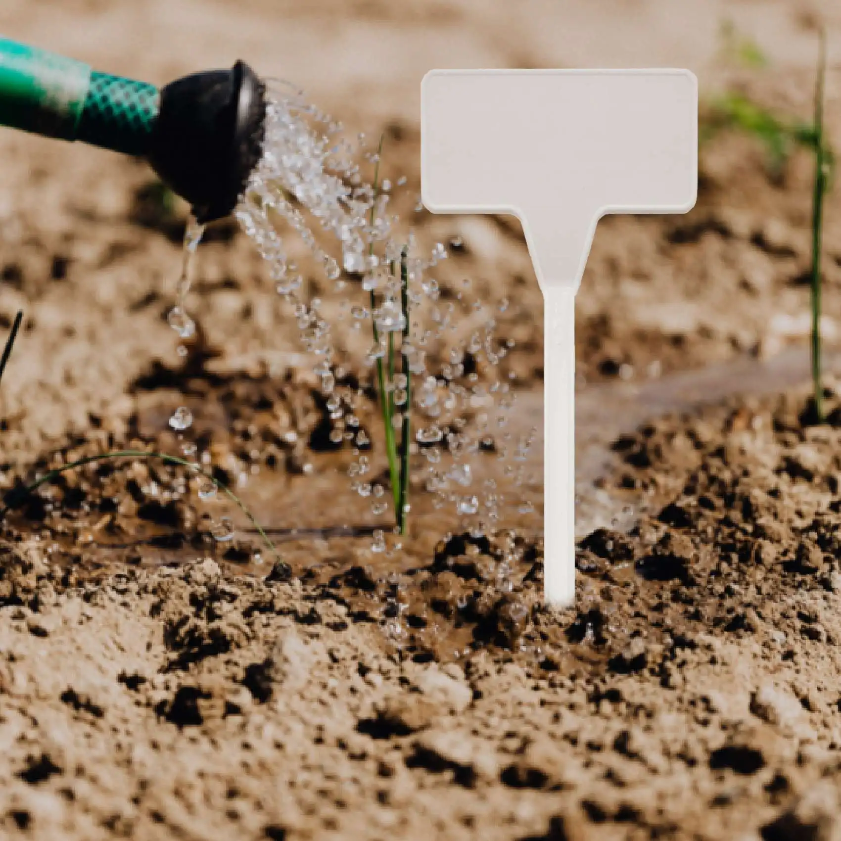 PZHI 50 Pcs Plastic Plant Labels T-Type Garden Tags Markers for Bonsai Seedlings Nursery White 9x4.5cm